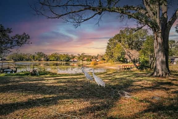Tampa Lake House – Dock, Pool Table & Putt Green - Image 4